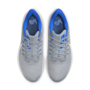 Detroit Lions Nike Shoe