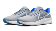 Detroit Lions Nike Shoe